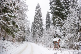 Szombattól már lehet sízni a Hargitán, de a hegyre fel és le idén is vannak szabályok