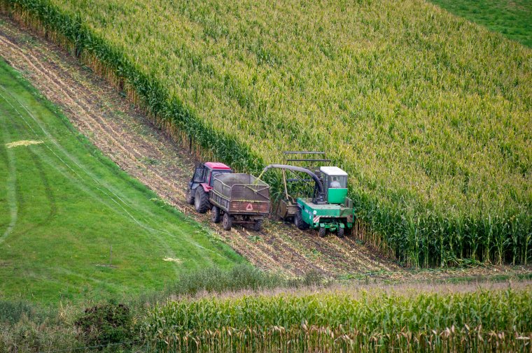 Idén több mint 300 millió lejt szán a gazdáknak járó gázolaj-támogatásra a kormány