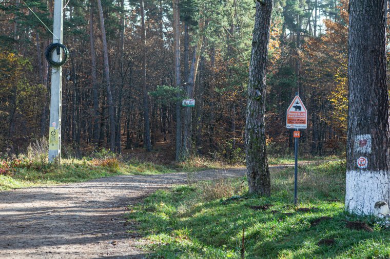 Pályázati lehetőségre várnak a Székelyudvarhely és Gyepes közötti út felújításához