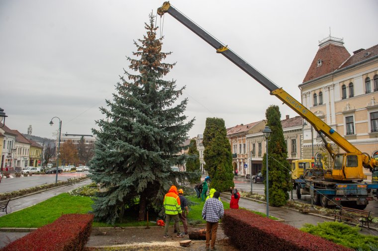 Már áll a karácsonyi fenyő Székelyudvarhely központjában