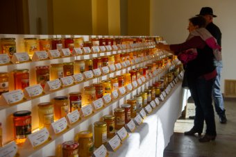 Marosvásárhely ad otthont a Nektária Székelyföldi Mézversenynek