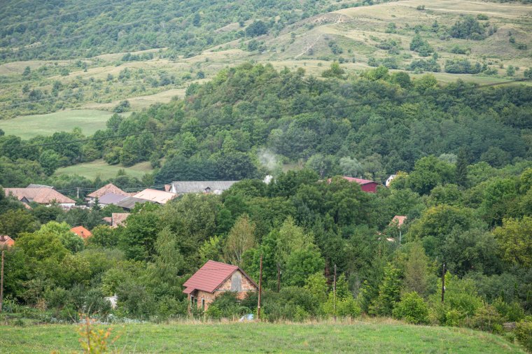 Újabb bejelentés kell a veszélyes medve kilövéséhez