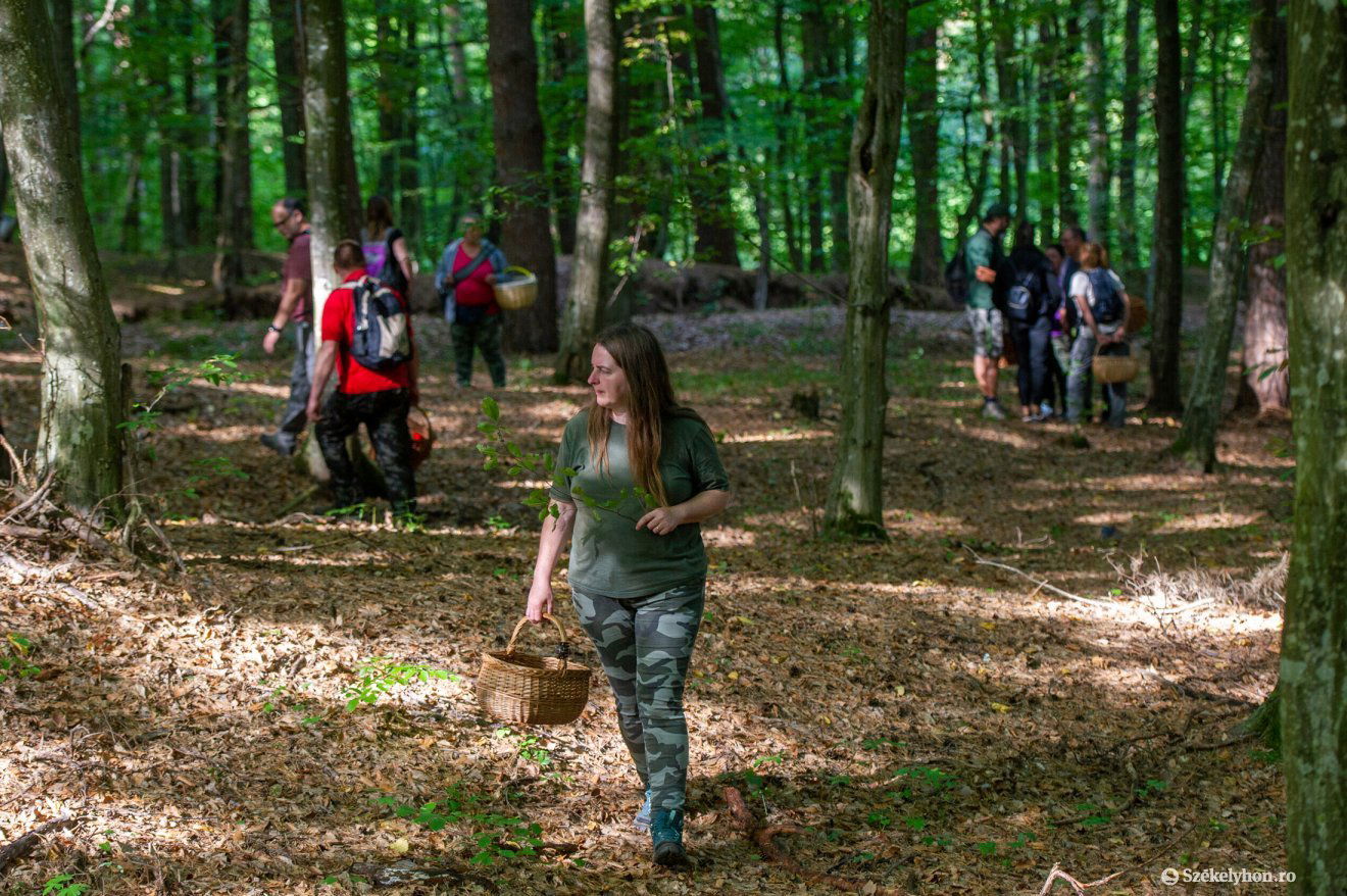 •  Fotó: Beliczay László