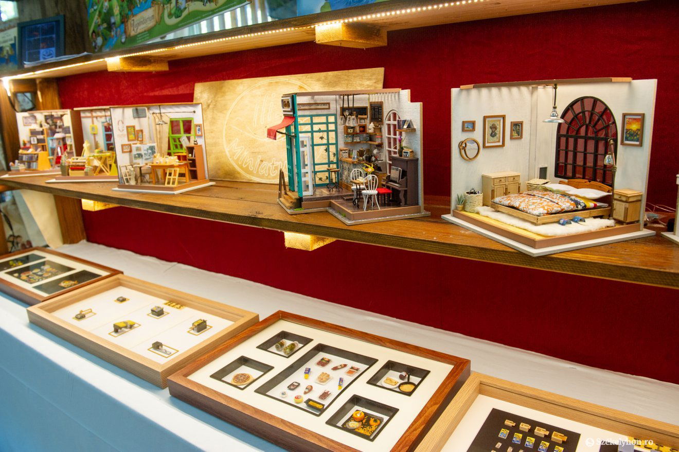 •  Fotó: Beliczay László