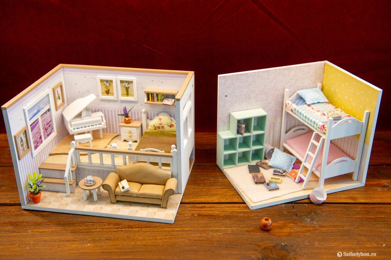 •  Fotó: Beliczay László