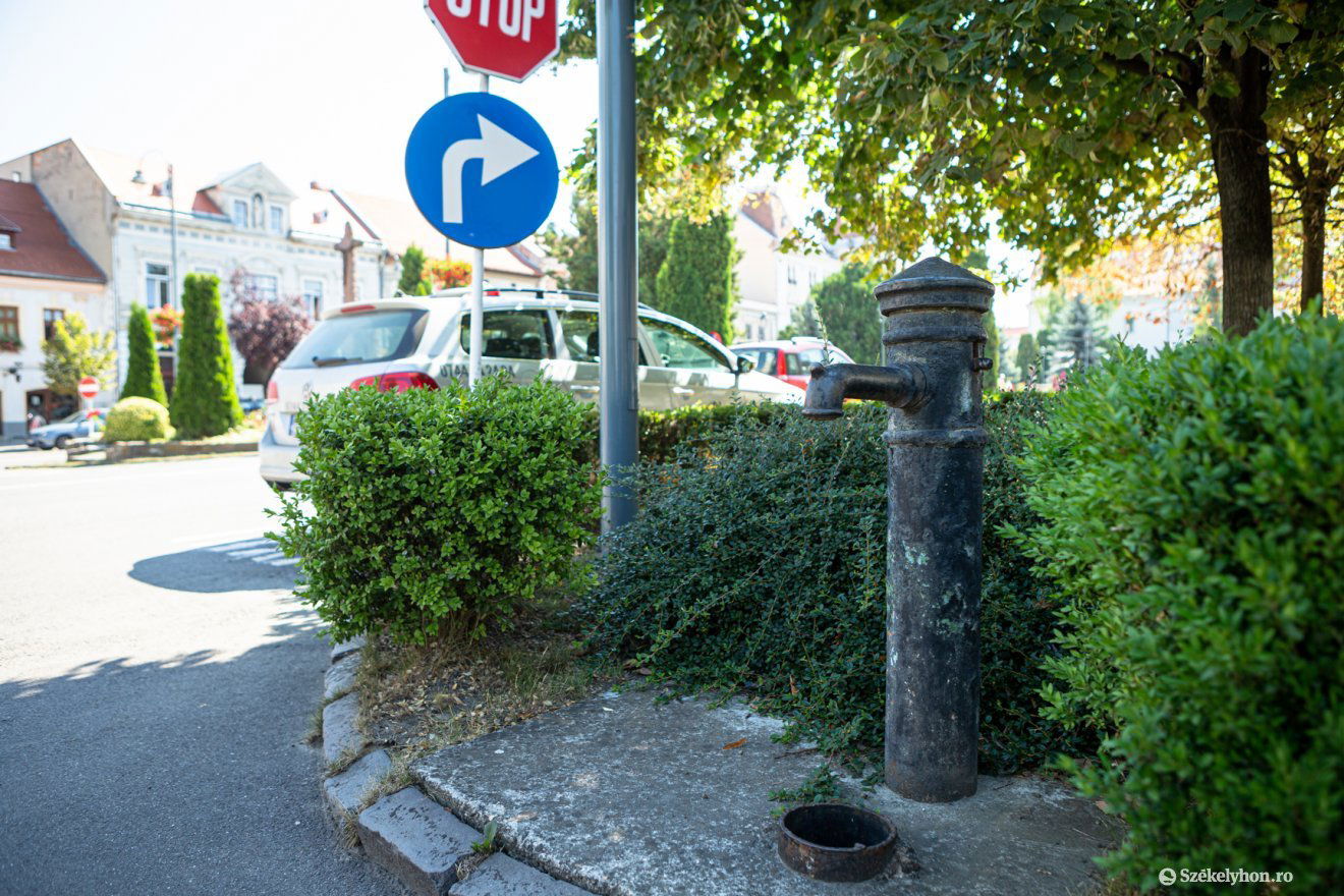 •  Fotó: Erdély Bálint Előd