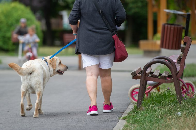 Ízlelgetjük a szabályozott kutyatartást
