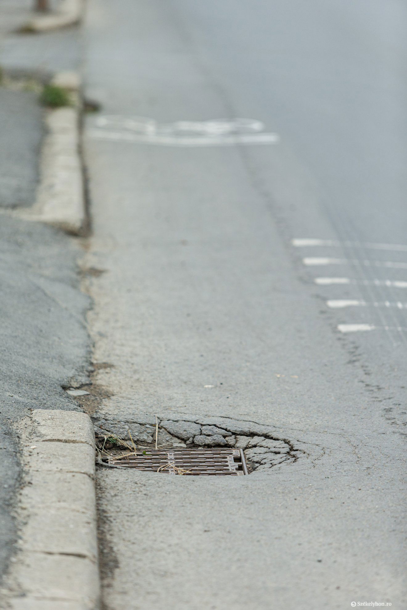 &bullet;  Fotó: Erdély Bálint Előd