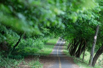 Megnyitják a határt a leghosszabb romániai kerékpárúton, „pedáloznak” a jóval nagyobb beruházásokon