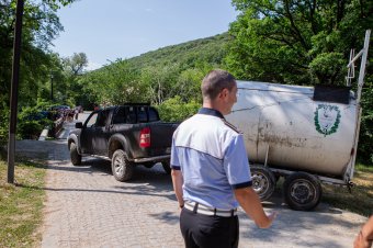 Csak Hargita megyében több százszor kértek medve miatt segítséget tavaly a sürgősségi hívószámon