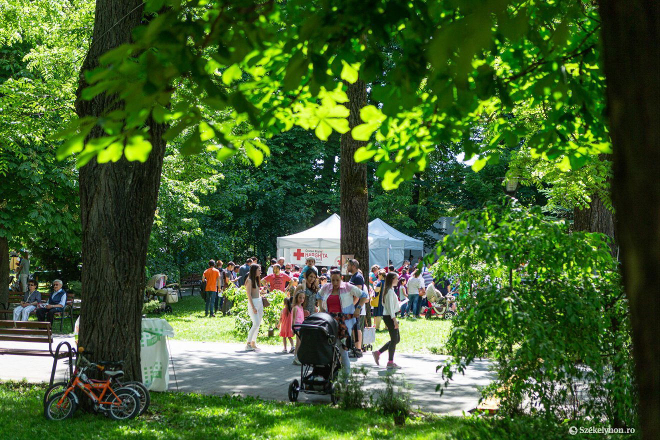 &bullet;  Fotó: Erdély Bálint Előd