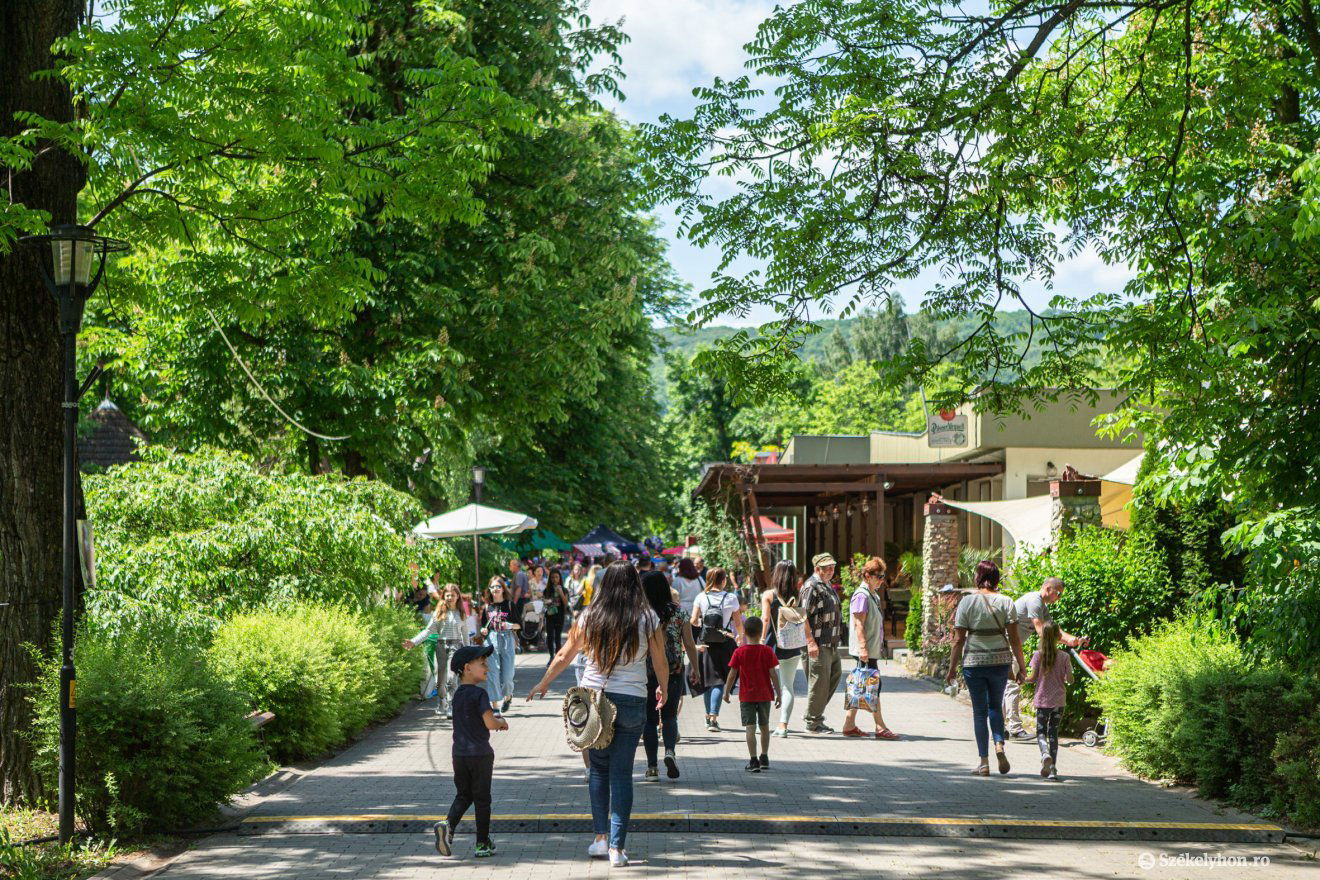 &bullet;  Fotó: Erdély Bálint Előd