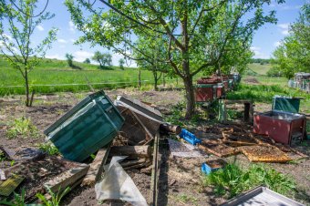 Csökkenőben a vadkárok száma Hargita megyében