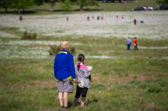 Romániában elégedettebbek szabadidejükkel az emberek, mint Magyarországon