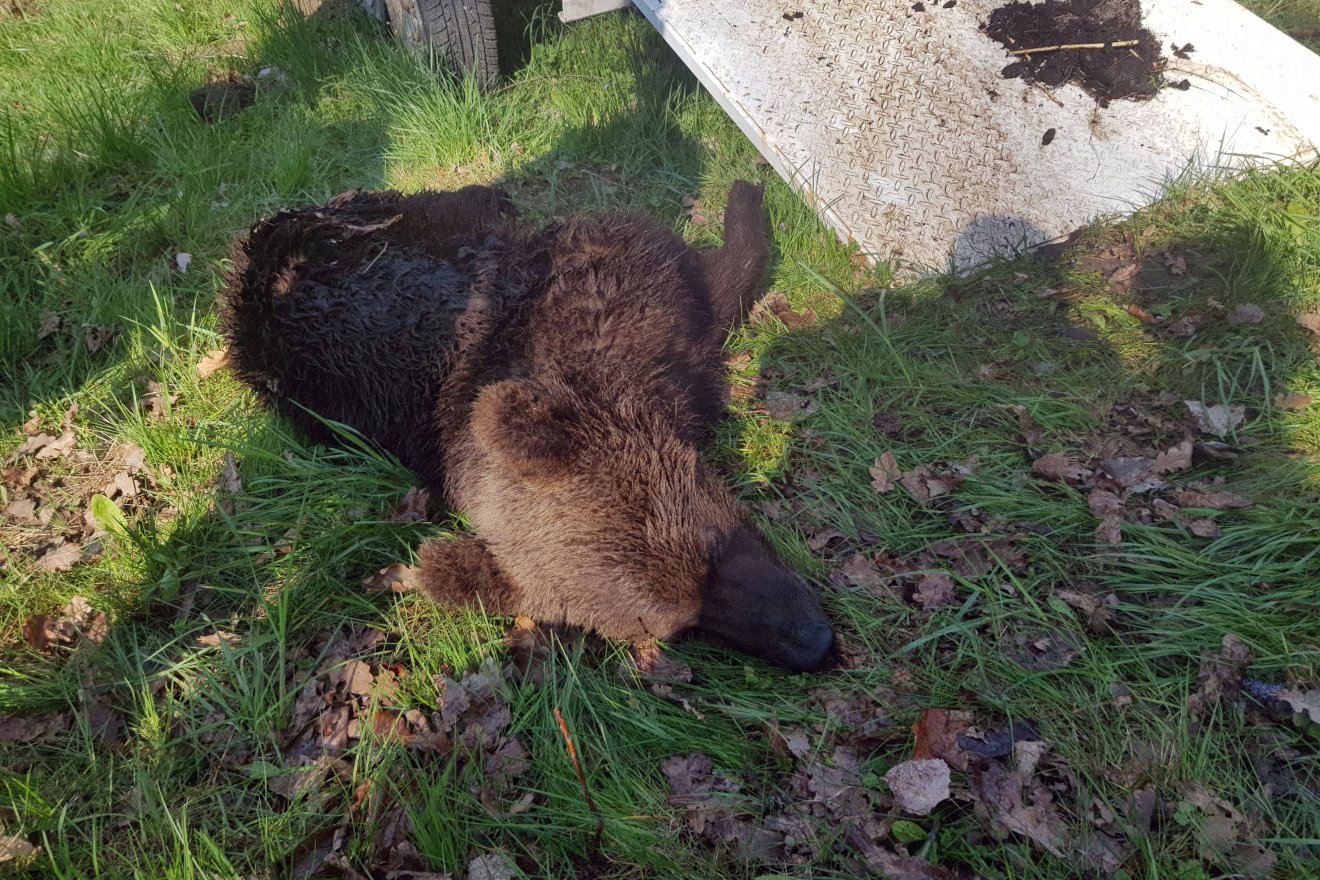 •  Fotó: Fülöp Székely Botond