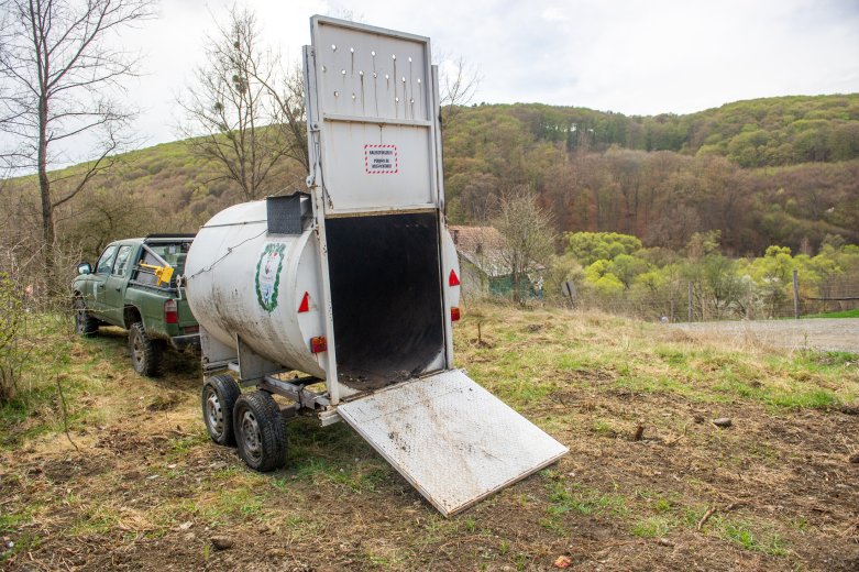 Medvecsapdát helyeztek ki, bűnügyi eljárás indult ellenük