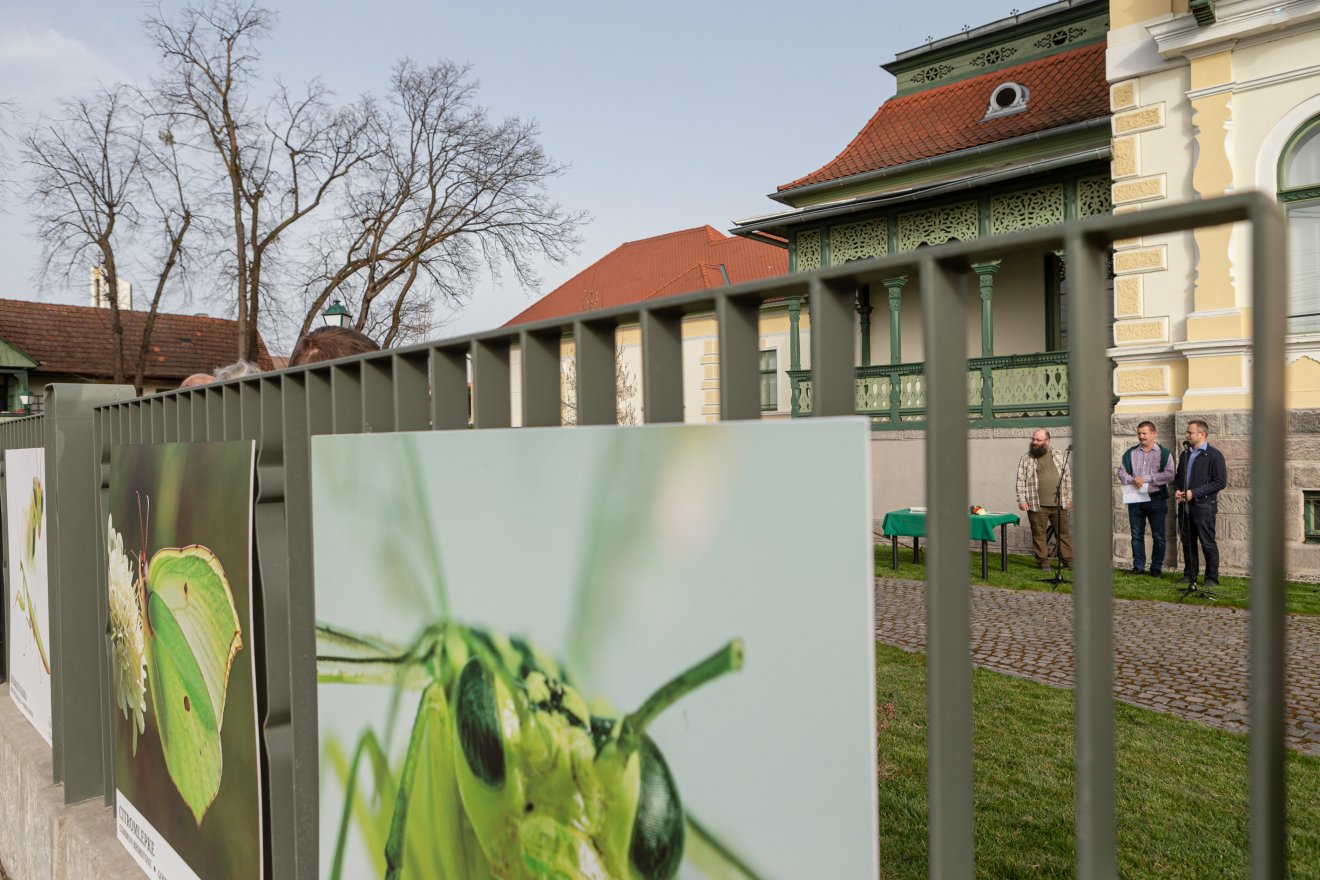 •  Fotó: Erdély Bálint Előd
