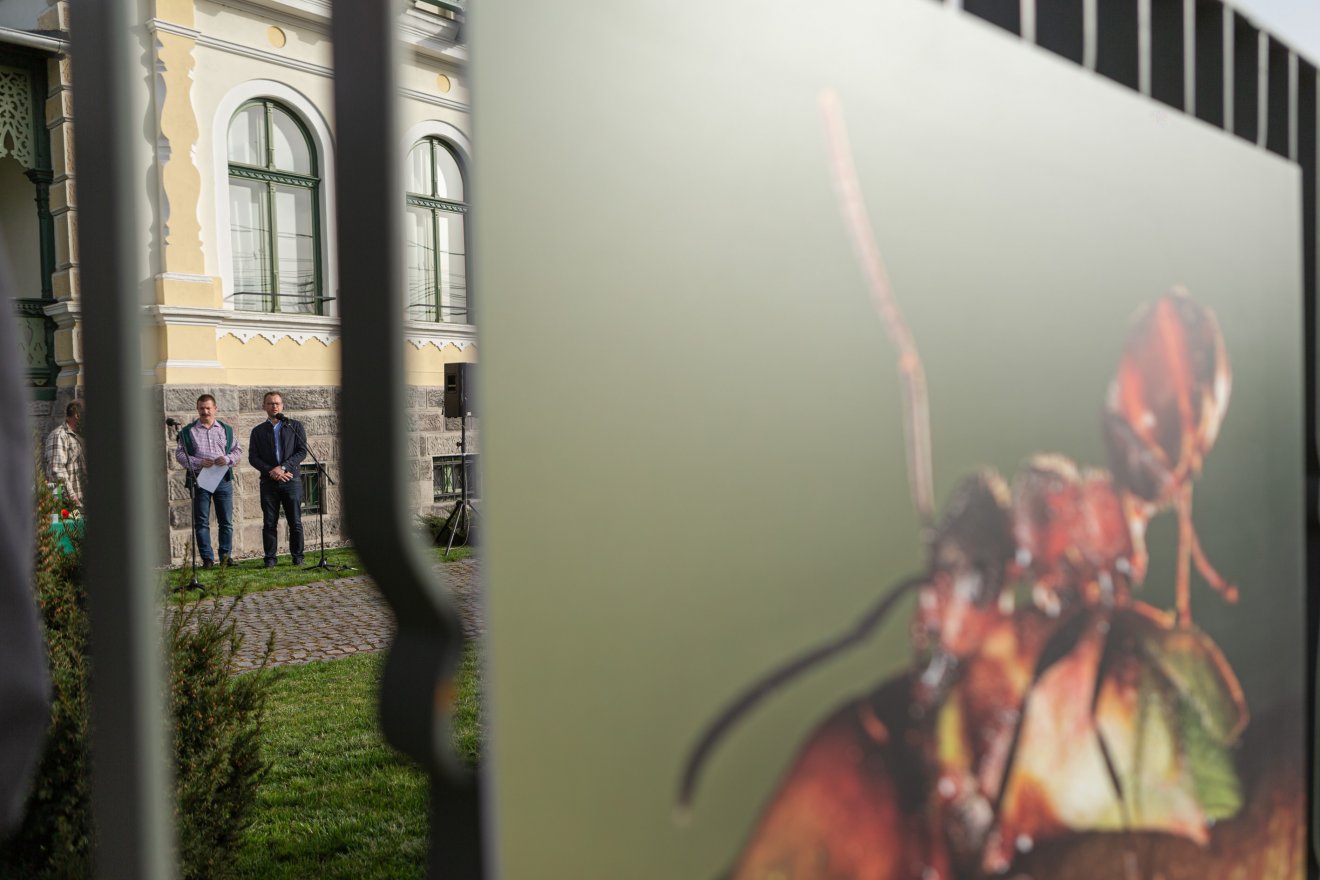 •  Fotó: Erdély Bálint Előd