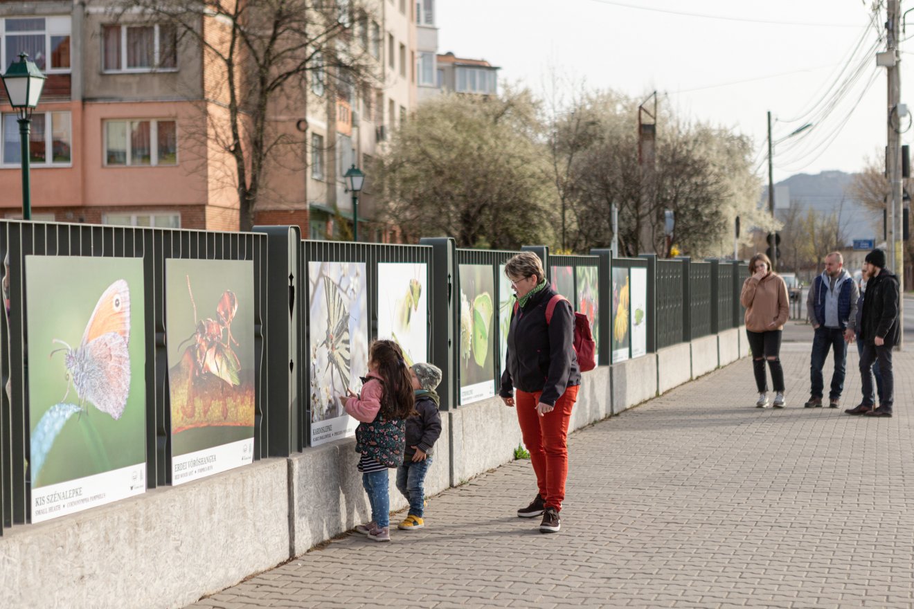 •  Fotó: Erdély Bálint Előd