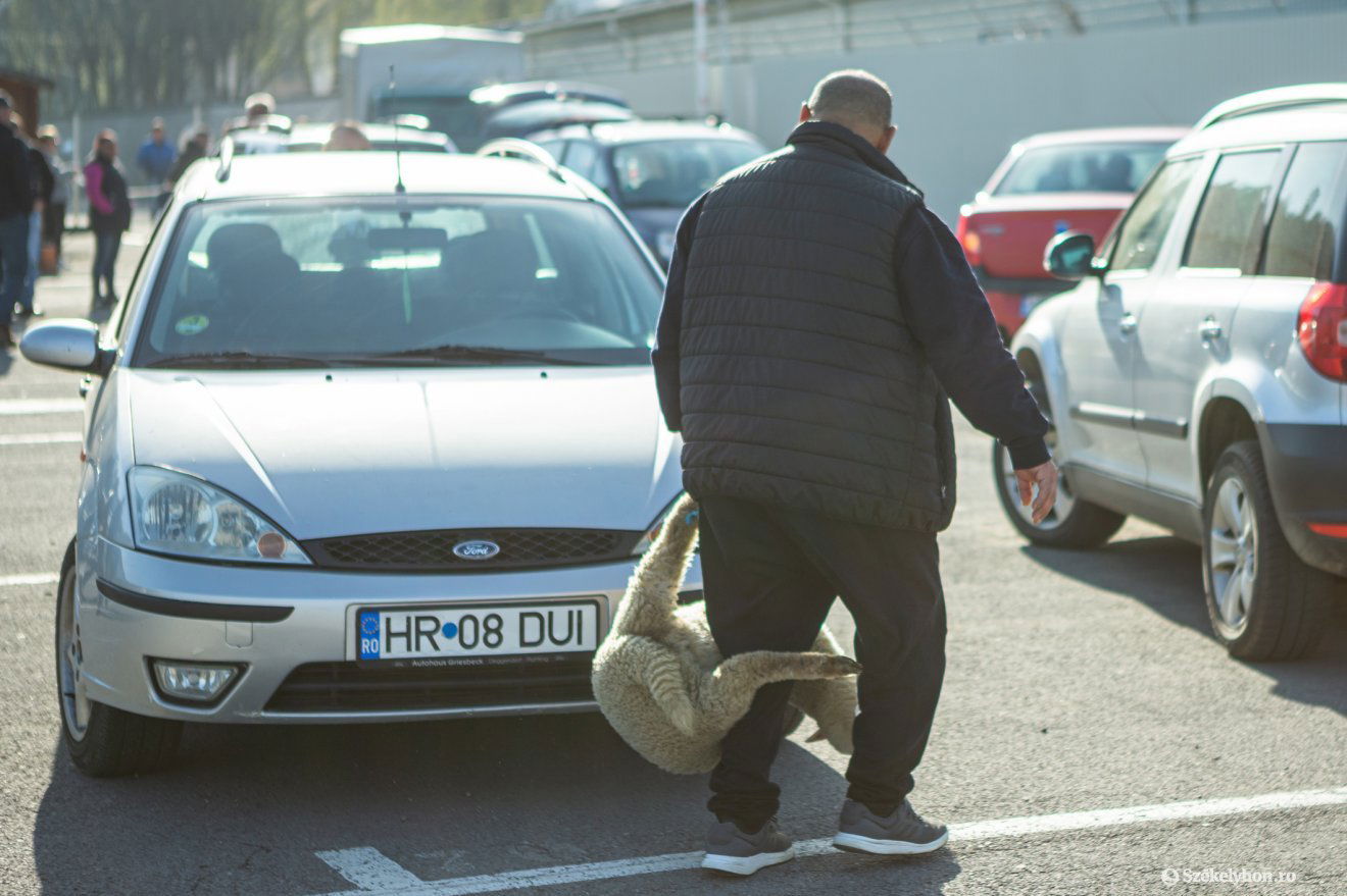 ... és a másikat is •  Fotó: Erdély Bálint Előd