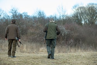 Nem találták meg a kiskorúra támadó medvét