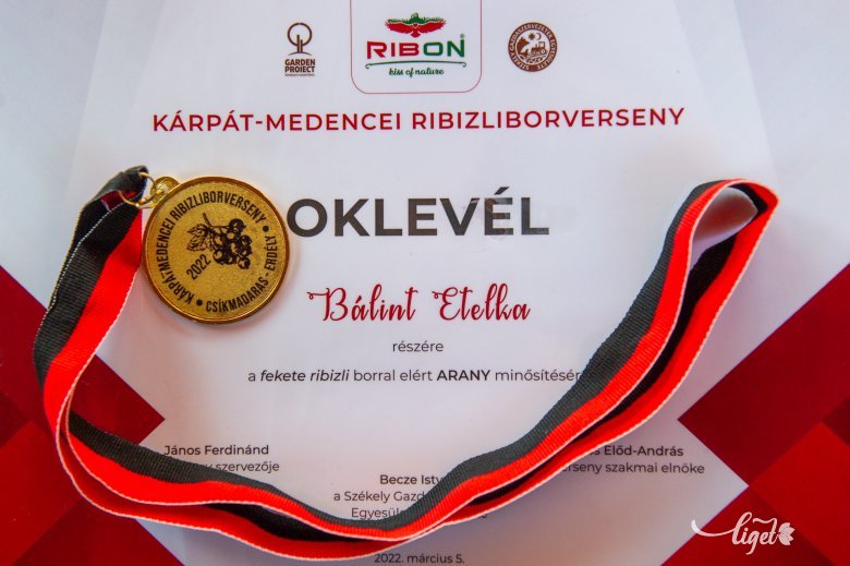 Utolsó percig fogalma sem volt Etelkának, milyen díjat nyert •  Fotó: Beliczay László