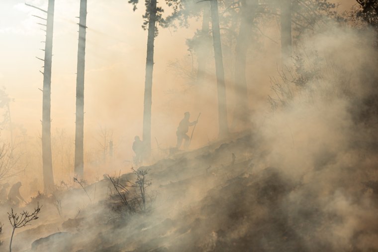 Erdőtüzek kialakulásának veszélyére figyelmeztet Raed Arafat