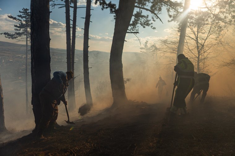 Megdöntötte a korábbi évek rekordját az idei erdőtüzek száma Romániában