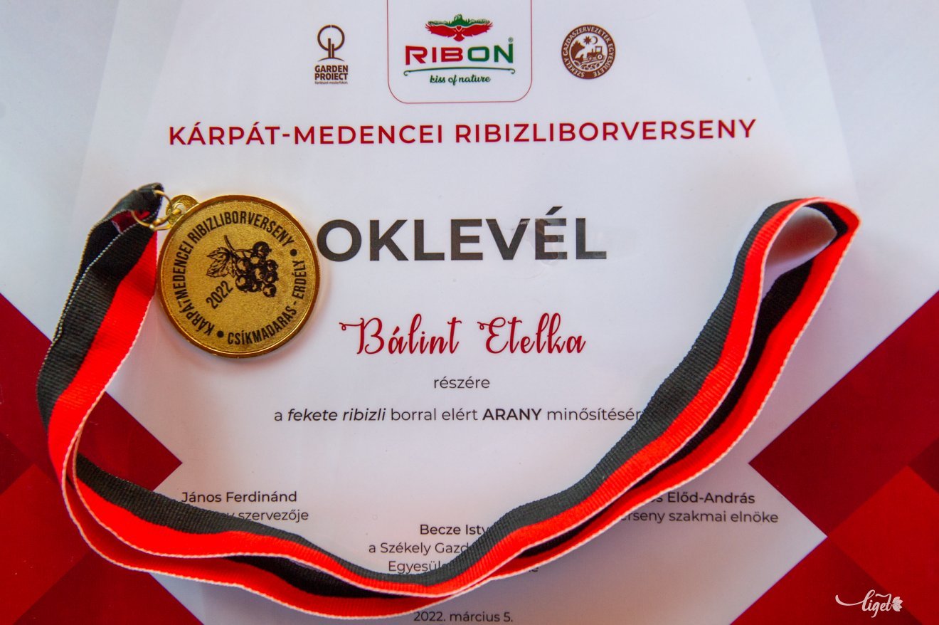 Utolsó percig fogalma sem volt Etelkának, milyen díjat nyert •  Fotó: Beliczay László