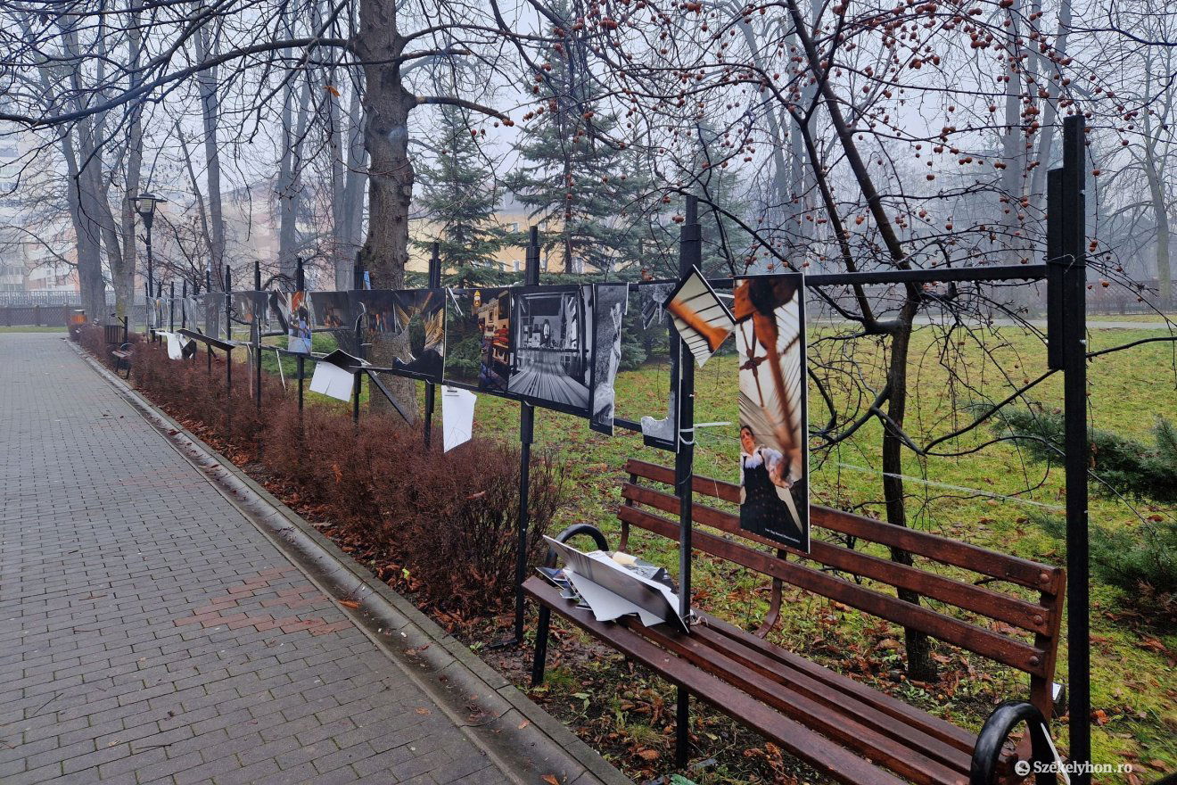 •  Fotó: Fülöp-Székely Botond