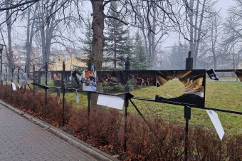 Kézre kerültek a tettesek: két fiatal zúzta össze a szabadtéri kiállítást