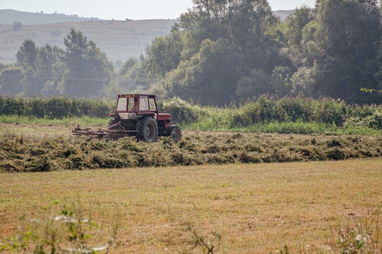 Ellenőrzések: kevesen veszítik el a támogatást