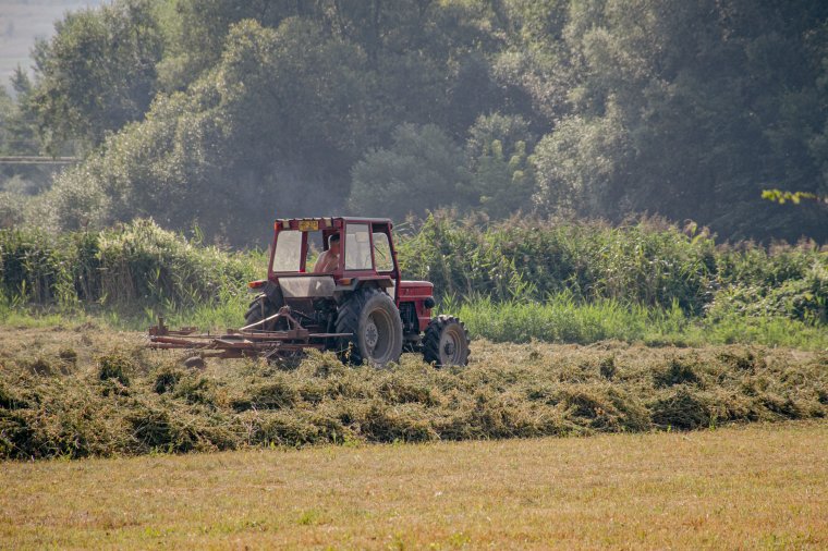 Jelentős eltérések: Hollandiában csak 33, Romániában több mint 40 órát dolgoznak hetente a munkavállalók