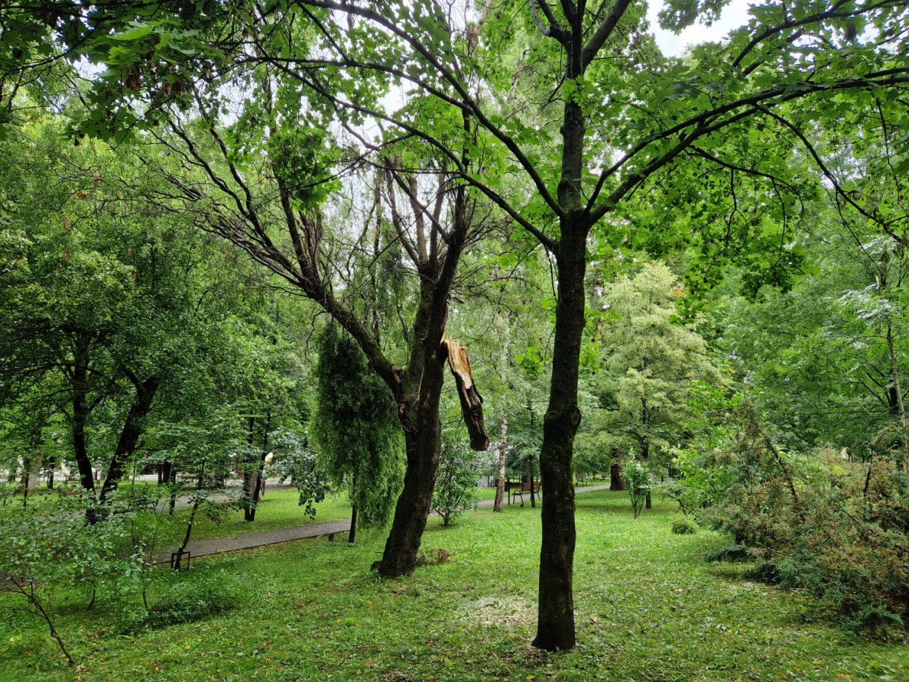 •  Fotó: Székelyhon