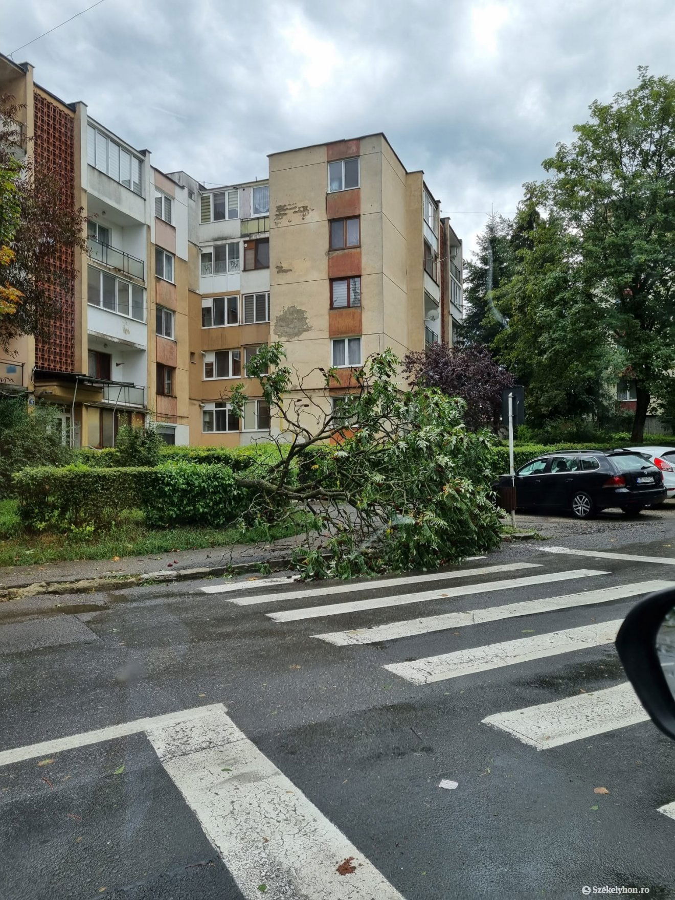 •  Fotó: Székelyhon