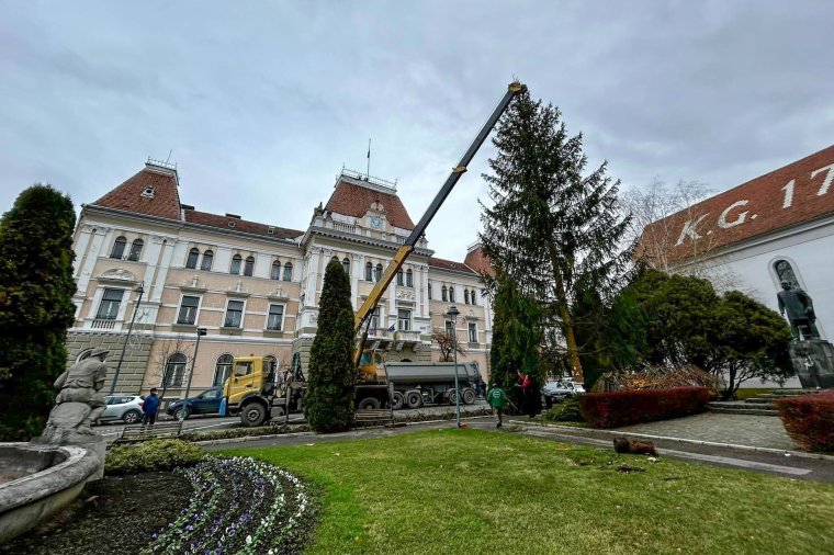 Megérkezett a város karácsonyfája Székelyudvarhelyre