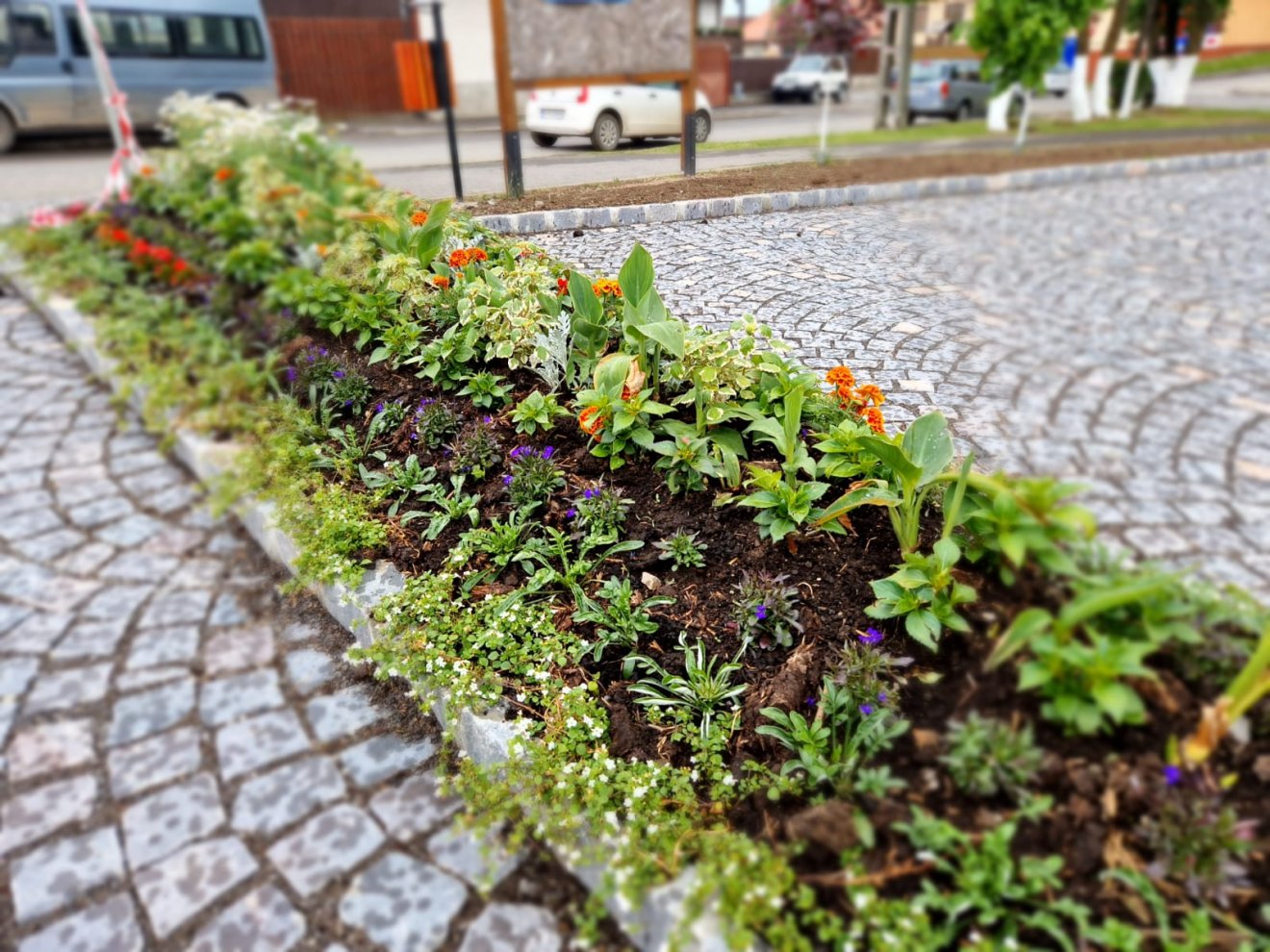 •  Fotó: Szentegyháza Polgármesteri Hivatala