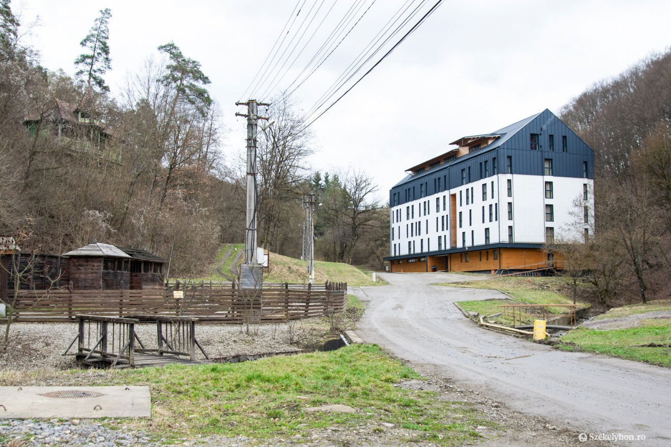 A diákszálló mögötti erdőben húzódtak meg a medvék