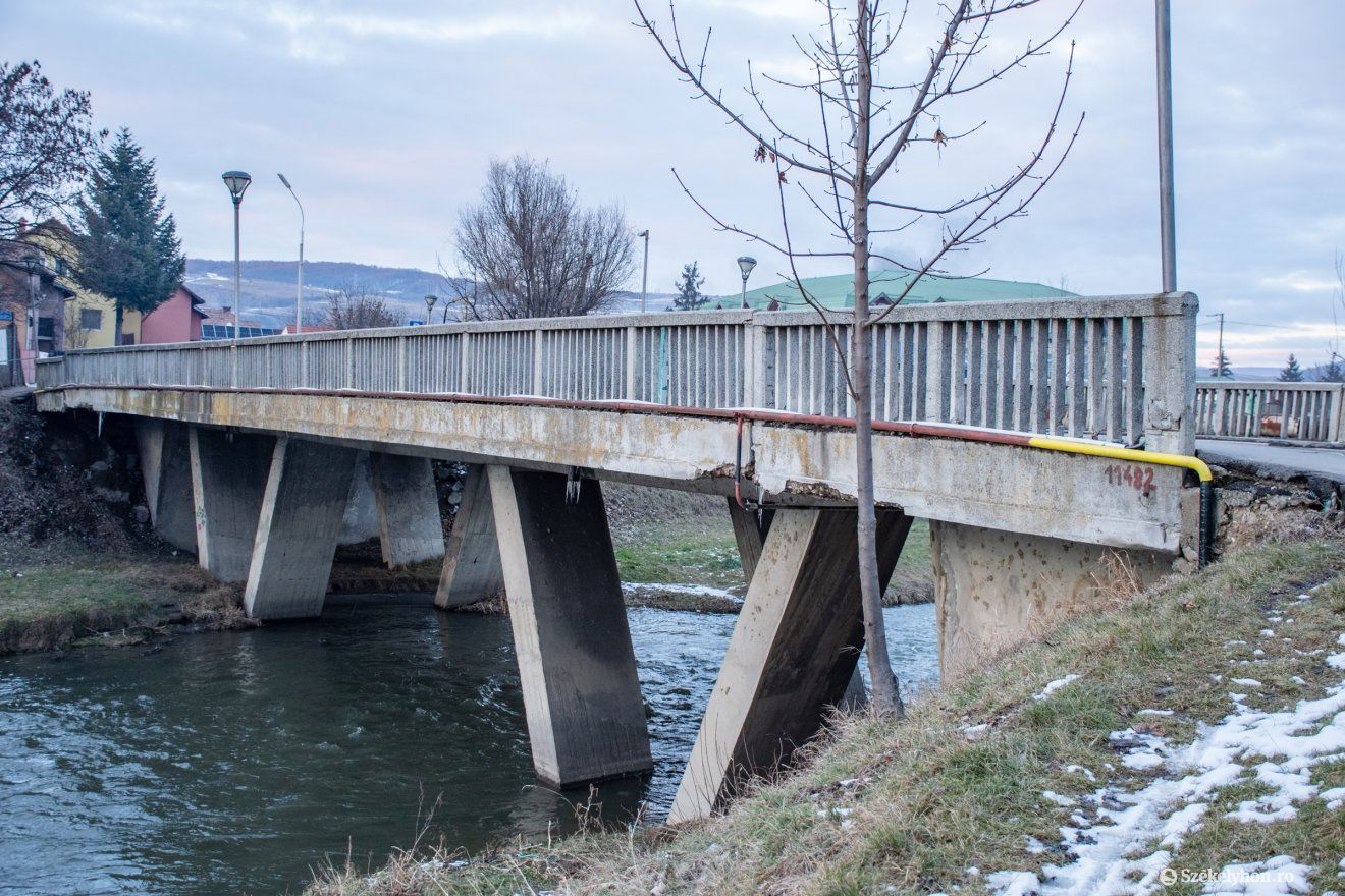 •  Fotó: László Ildikó