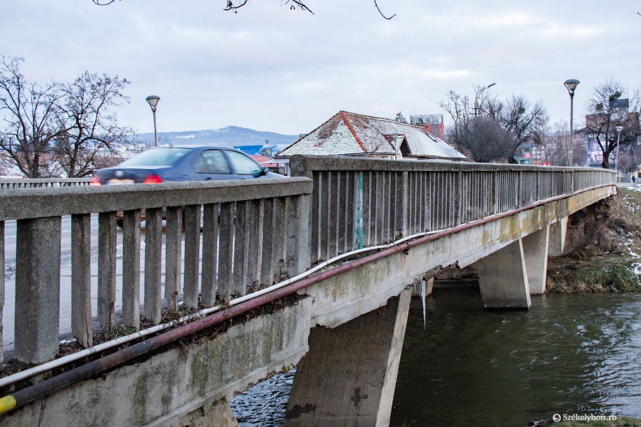 •  Fotó: László Ildikó