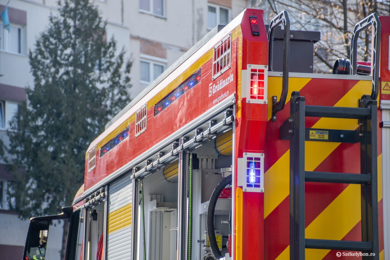 Képünk illusztráció •  Fotó: László Ildikó