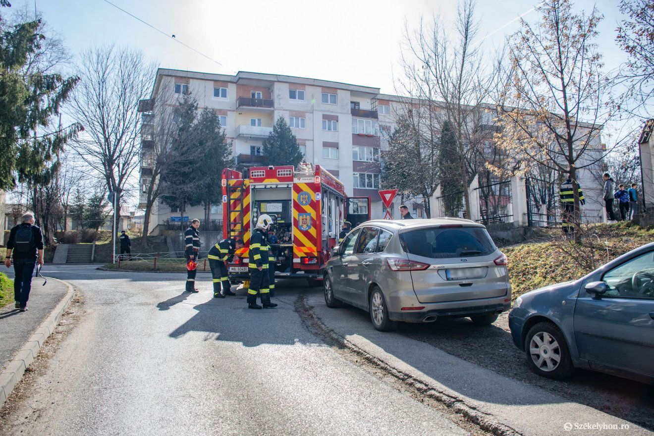•  Fotó: László Ildikó