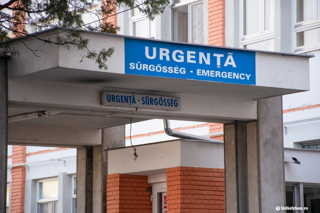 Képünk illusztráció •  Fotó: László Ildikó