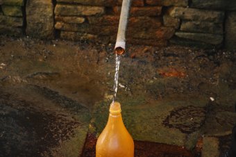 Előadás a homoródfürdői borvizekről