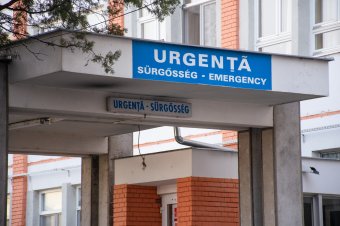 Húsdaráló zúzta össze egy udvarhelyszéki nő kezét