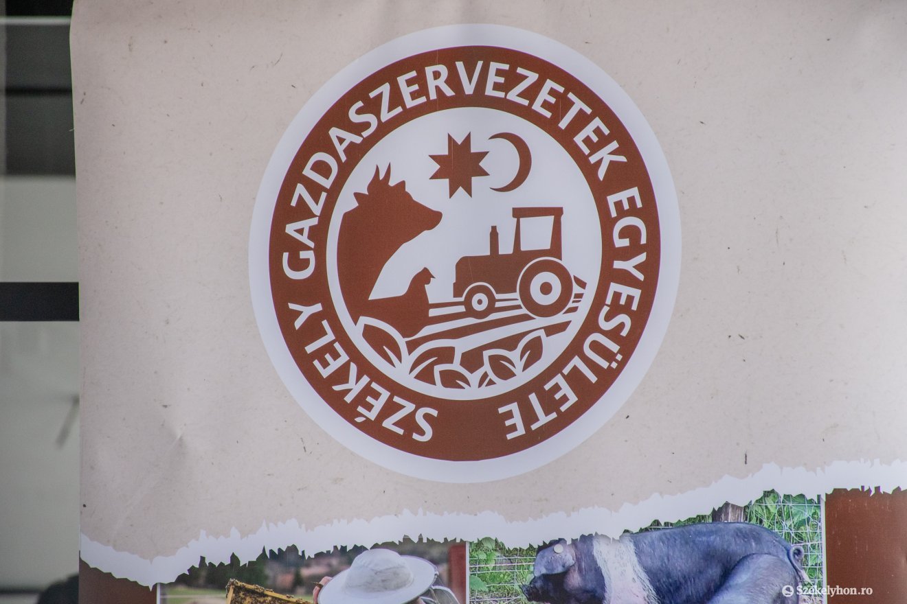 •  Fotó: László Ildikó