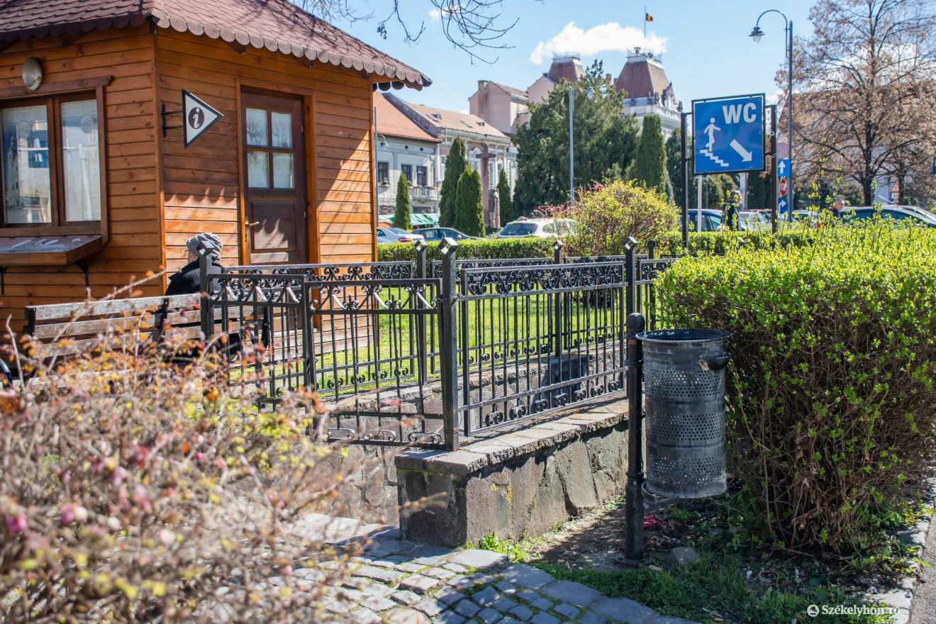 •  Fotó: László Ildikó