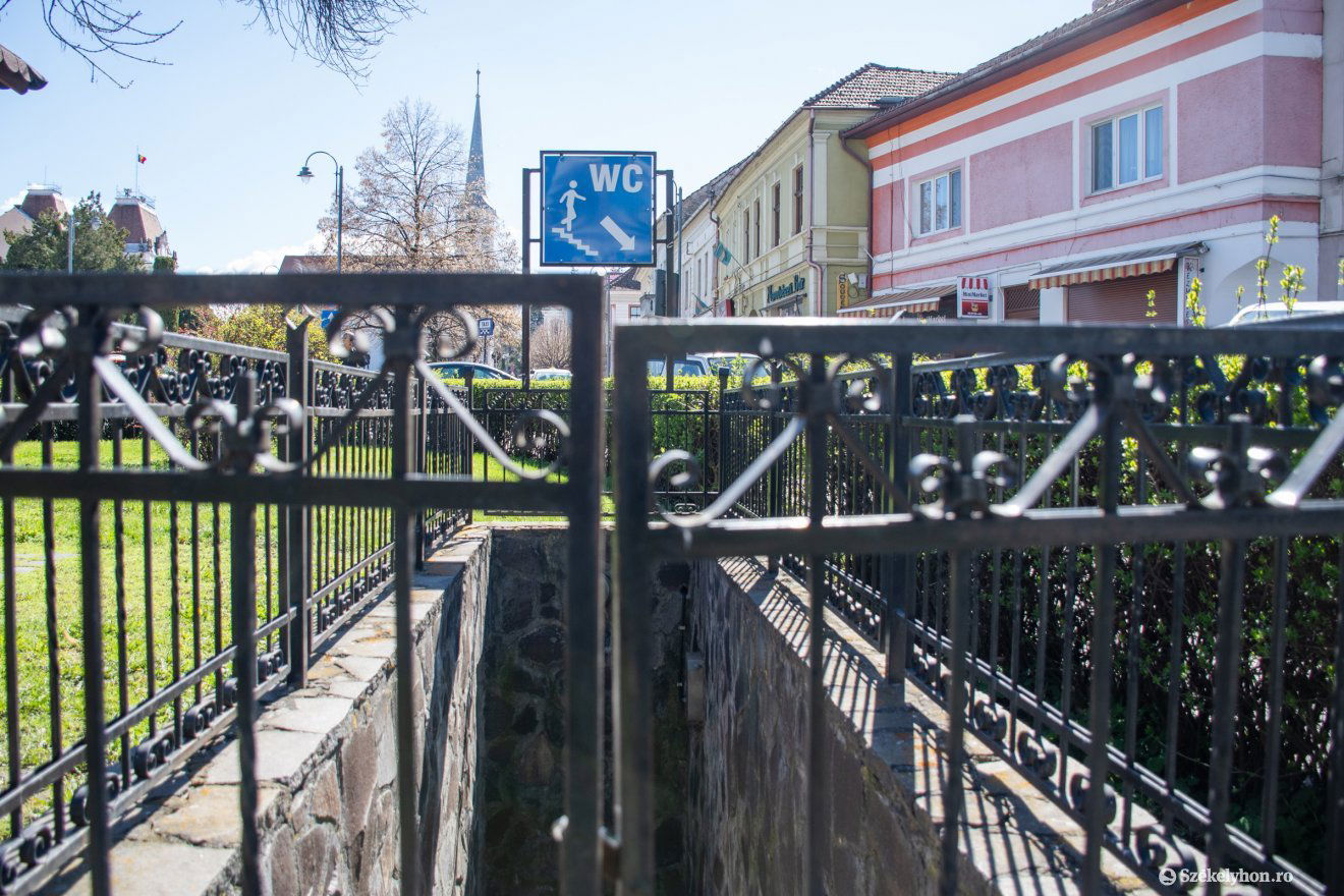 •  Fotó: László Ildikó