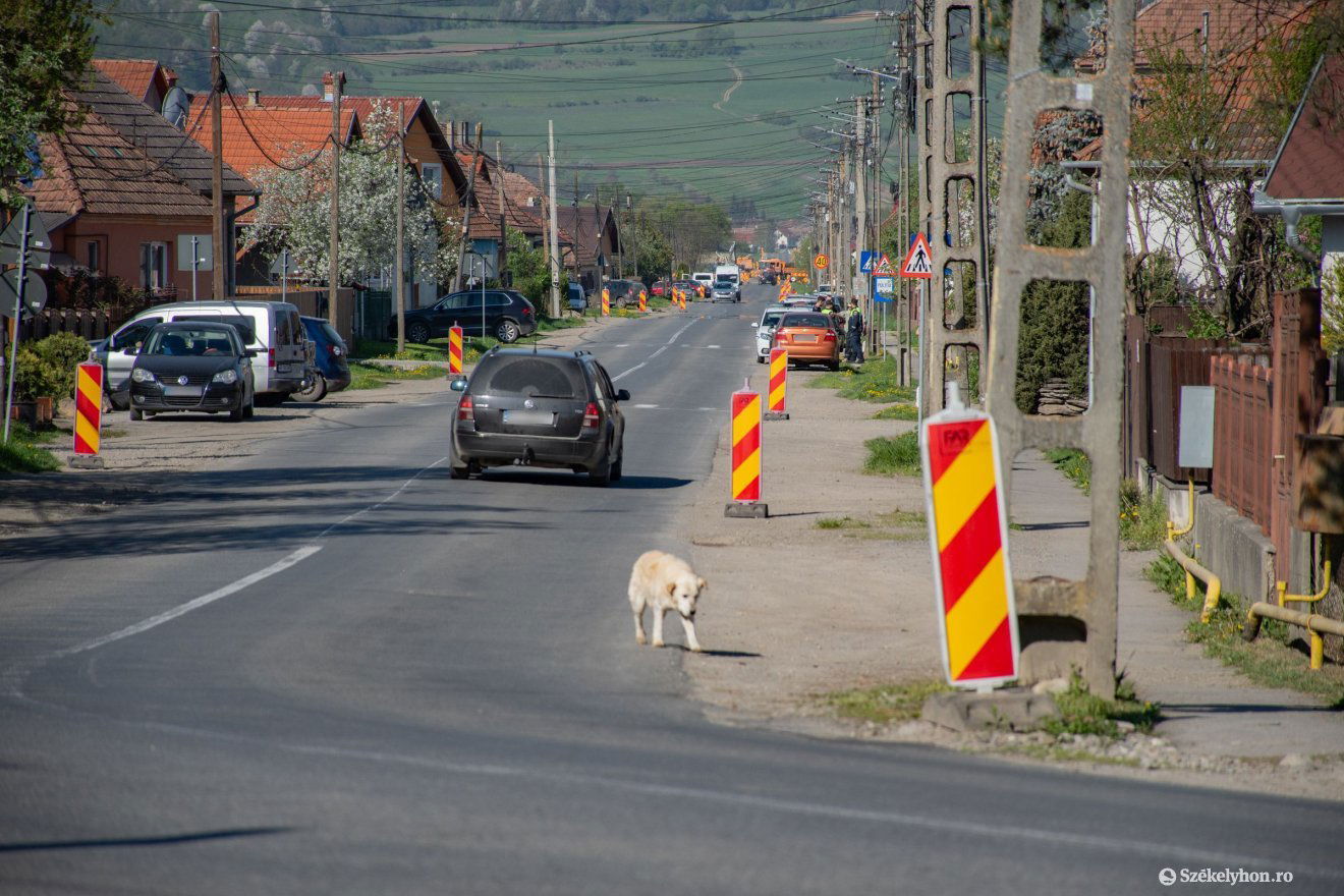 •  Fotó: László Ildikó