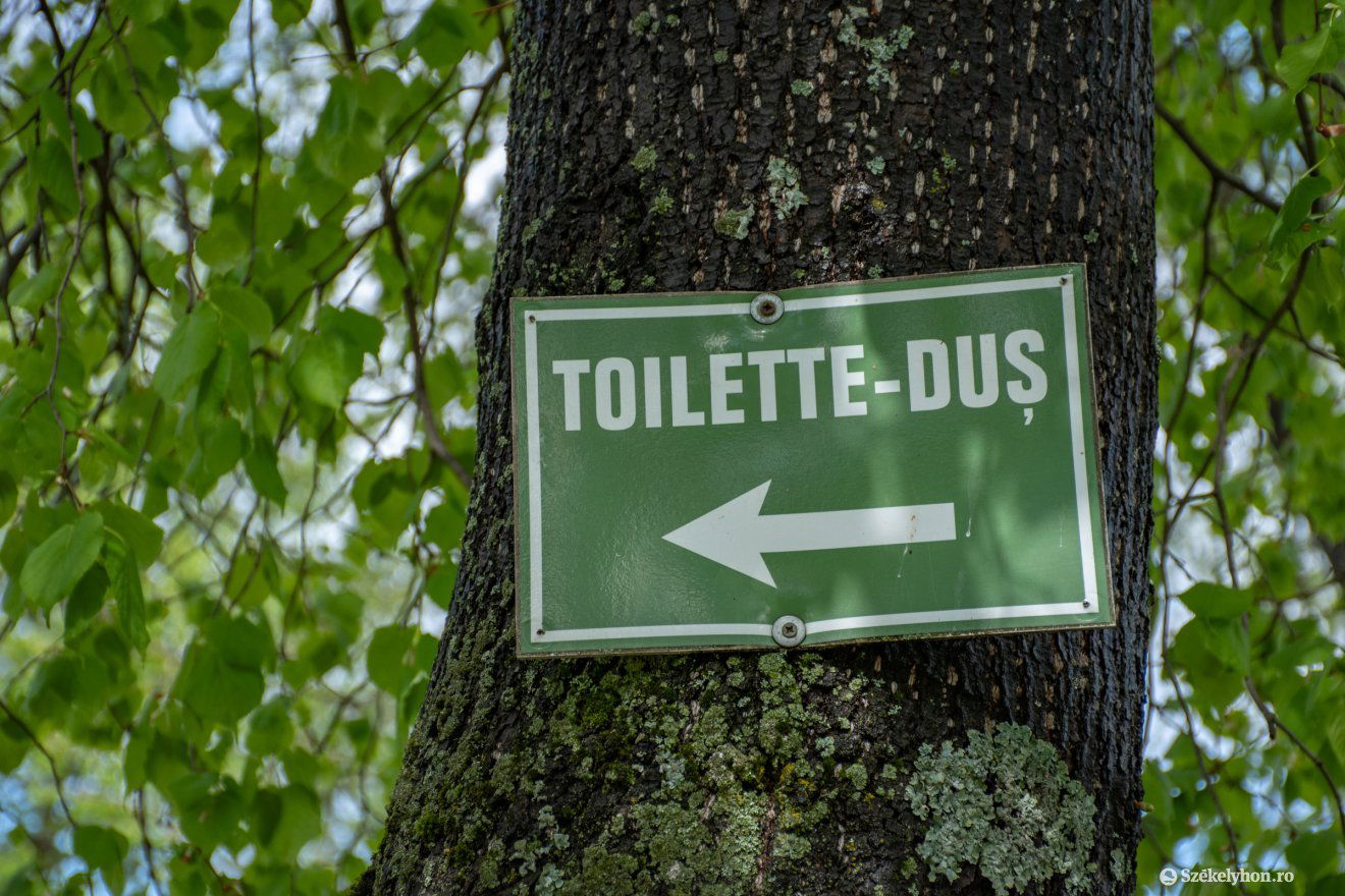 •  Fotó: László Ildikó